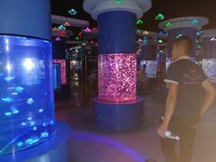 -重庆欢乐海底世界
