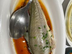 -京粤荟(海王银河科技大厦店)