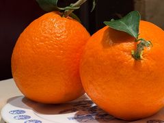 -龙森园火锅(琴台路店)