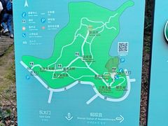 -上海佘山国家森林公园天马山园