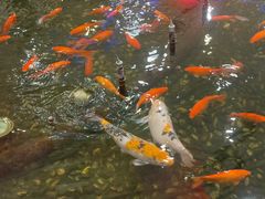 -碧中海汤泉汗蒸酒店