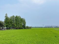 -崖口云吞(中堡店)