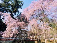 -醍醐寺