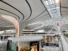 -LV路易威登(大兴国际机场店)