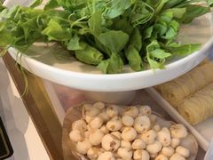 -烹然四季椰子鸡火锅(姚家园万象汇店)