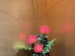 -觀芷隐轩