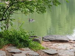 -阿毛方糕(七宝镇步行街店)