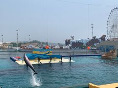 -秦皇岛乐岛海洋王国