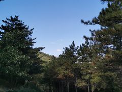 -乌素图国家森林公园