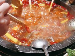 -渝大狮毛肚老火锅(遂宁万达店)