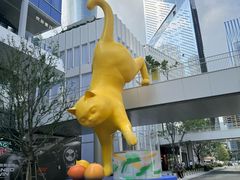 -深圳湾万象城(南山店)