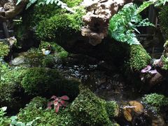 -丁香国际商业中心-停车场