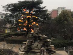 -汤山一号温泉度假区