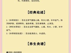 -新东方烹饪学校(朝阳校区)