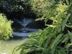 -广州兰圃