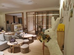-猫腻·猫咖·撸猫馆(星光大道店)