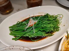 -初蓉丨遇见新川菜(亲贤街荣耀店)