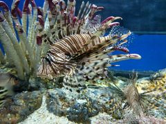 -福州罗源湾海洋世界旅游区