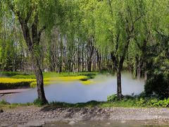 -苏州河梦清园环保主题公园