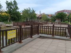 -绿岛公园(滨海新区)