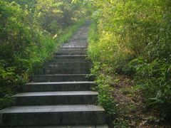 -桃花岭景区