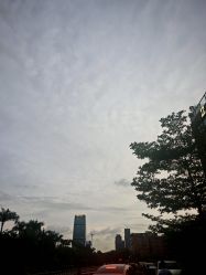 -广州市儿童公园