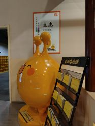 -疯狂的麦咭(长沙店)