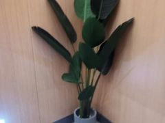 -醉得意·家常菜(二七路店)