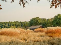 -良渚古城遗址公园