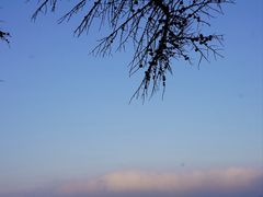 -青岛崂山太清宫