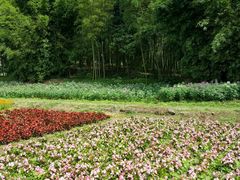 -广州市石门国家森林公园