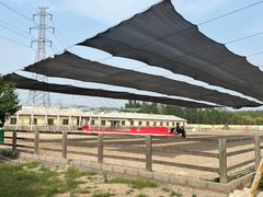 -北京群众马术培训基地