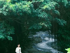 -燕晗山郊野公园