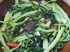 砂锅通菜-荔苑隆都菜馆(沙溪店)