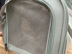 -芭比堂动物医院(广州爱宠下渡路分院)