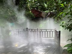 -呀诺达热带雨林