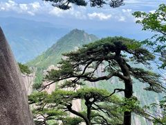 -黄山风景区