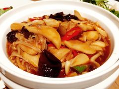 天山烩杂菌-大巴扎的姑娘(荣盛时代广场店)
