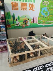 -268童话露营农场·烧烤·团建