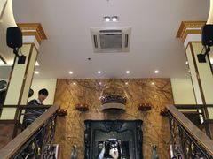 -more than meow吴止猫主题餐厅(承德 中船汇店)