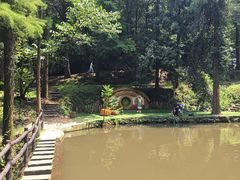 -波尔登森林公园