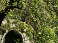 -绮园景区