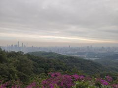 -广州市白云山风景名胜区