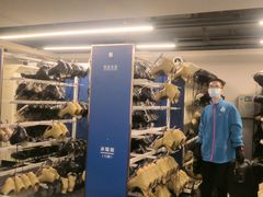 -世界之窗阿尔卑斯冰雪世界