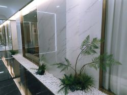 -铂诗玥医美