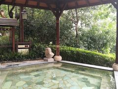 -天目湖涵田半山温泉