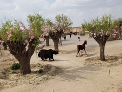 -水洞沟旅游区