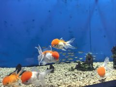 -福州罗源湾海洋世界旅游区