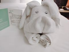 -南京禄口机场雅高铂尔曼大酒店