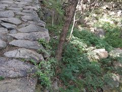 -北京鹫峰国家森林公园